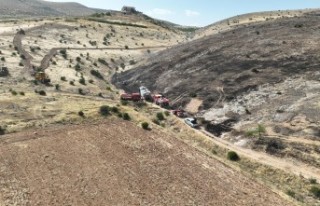 Yangında 2000 Dönüm Arazi Zarar Gördü