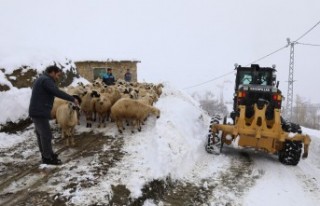 Battalgazi Belediyesi Karagöz Mahallesi’nde Seferberlik...