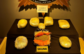 Durdurulan Kamyonette 11 Kg 650 Gram SKunk Maddesi...