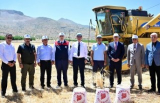 Hasadı Yapılan Arpalar, Çiftçilere Ücretsiz Dağıtılacak!