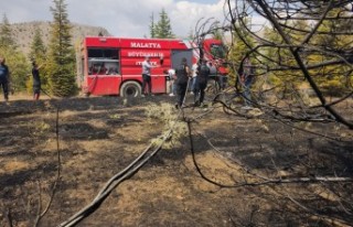 Malatya’daki Yangında 20 Hektar Alan Zarar Gördü