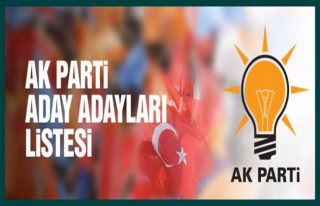  AK Parti Aday Adayı Tam Listesi  