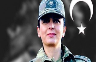 Songül Yakut Operasyonu'nda 5 PKK’lı Terörist...
