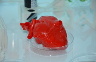 Türk bilim insanları kök hücre ve 3D biyo-yazıcı...
