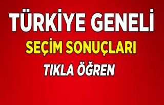 Türkiye Geneli Seçim Sonuçları 2018