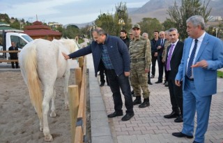 Vali Kaban, Hayvanat Bahçesini Gezdi