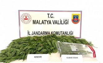 Doğanşehir'de kenevir ile uyuşturucu madde ele geçirildi