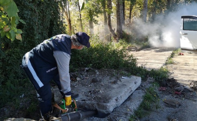 Büyükşehir Belediyesi haşere üreme alanlarında ilaçlama yapıyor