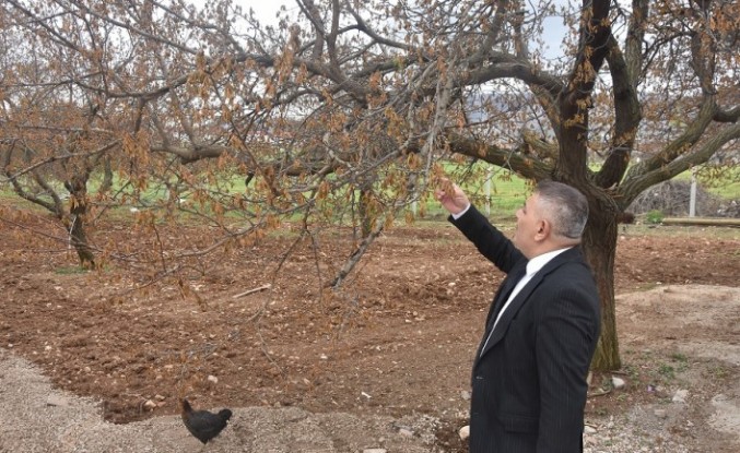 Sadıkoğlu: 'Verilecek destekler sadece kayısıyı değil, şehrimizin geleceğini ilgilendiriyor'